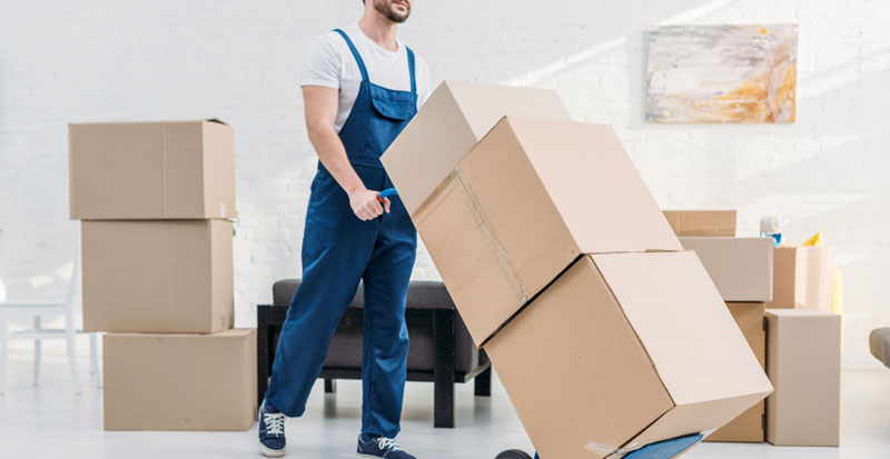 Top packers and movers in New Town